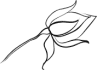 Group-19.png