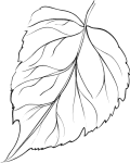 Group-26.png
